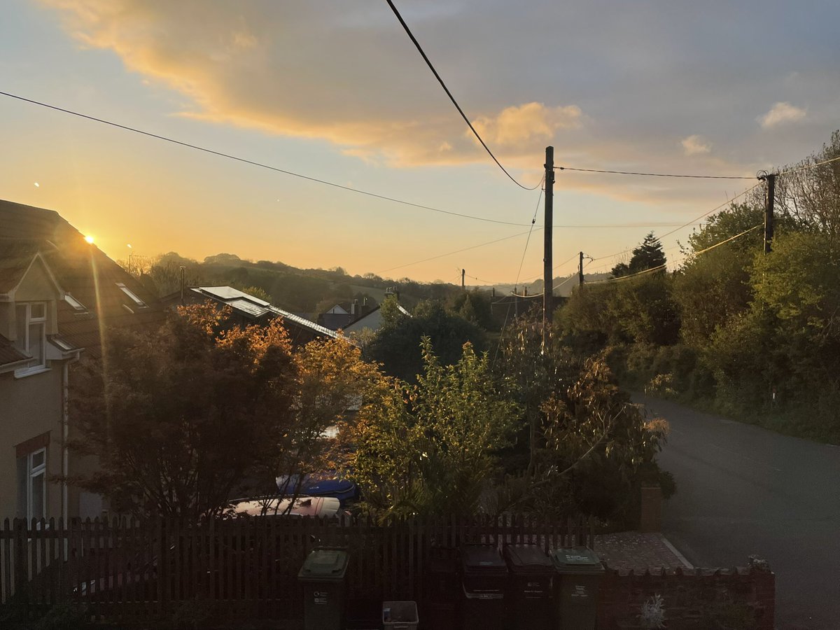 WgsCmc's tweet image. Good morning #hedgewatch #Cats #CatsonTwitter #Catsoftwitter #Catsotrb @AlysonMeadowcr1 @KimWebb44671708 @islandlyn @Foxelms @Biscuit_Meow @PoppyAndMolly2 @BrambleRamble4 @Bencat90866404 @AnnebrindleAnne