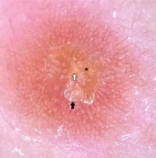 Antonio Guerrero tweet media