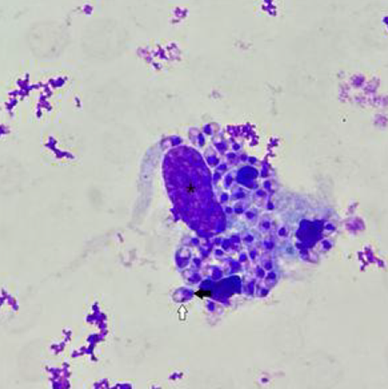 Antonio Guerrero tweet media