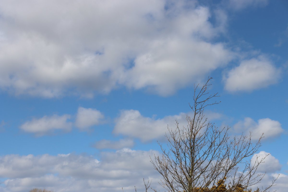 jgphotography10's tweet image. "Look at those skies" over Pity Me Carrs (1/2)  

#Skies #Clouds #Weather #PityMeCarrs #PityMe #Durham #Photography
