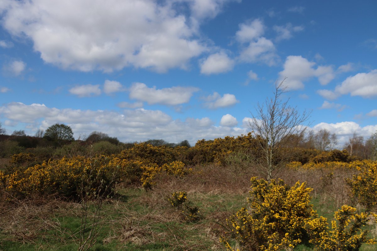 jgphotography10's tweet image. "Look at those skies" over Pity Me Carrs (1/2)  

#Skies #Clouds #Weather #PityMeCarrs #PityMe #Durham #Photography