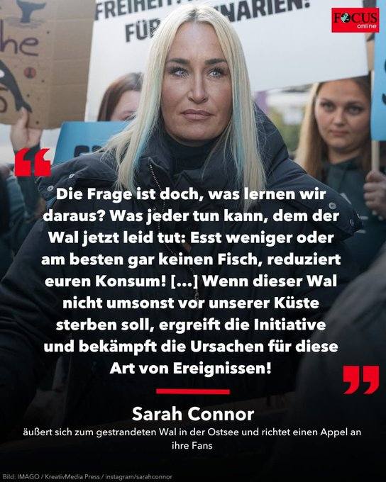 Heimatgefühl tweet media