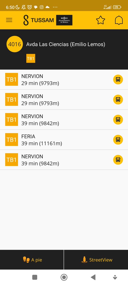 ノエリア 🇵🇸 tweet media