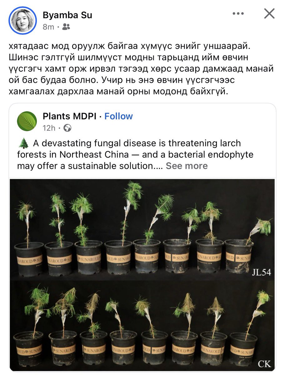 Zoya Kafka 🤍 tweet media