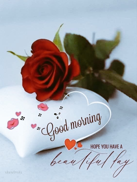 Levi🇺🇬 tweet media