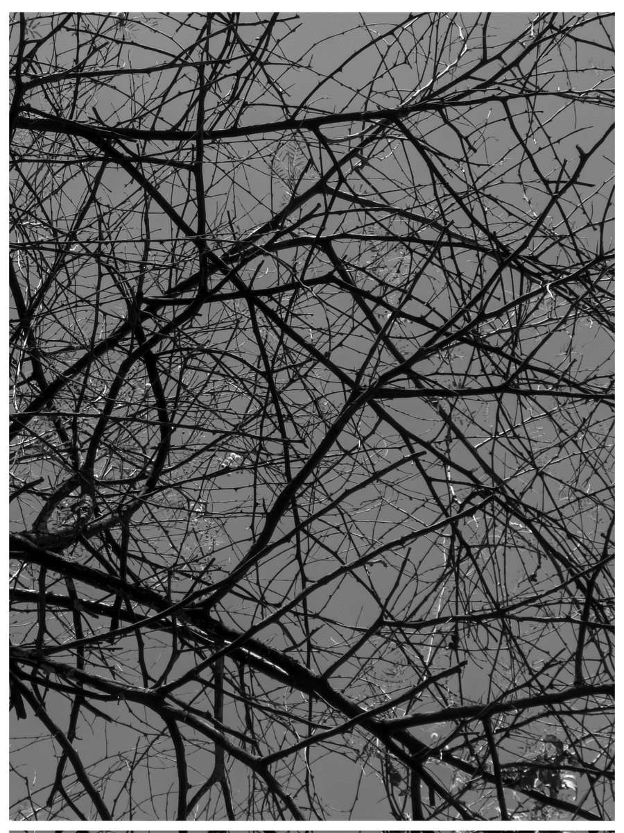 rashedkalata's tweet image. Life changes when you start to photograph  black and white 🤍 

#blackandwhite #PhotographyTips 
#madrid