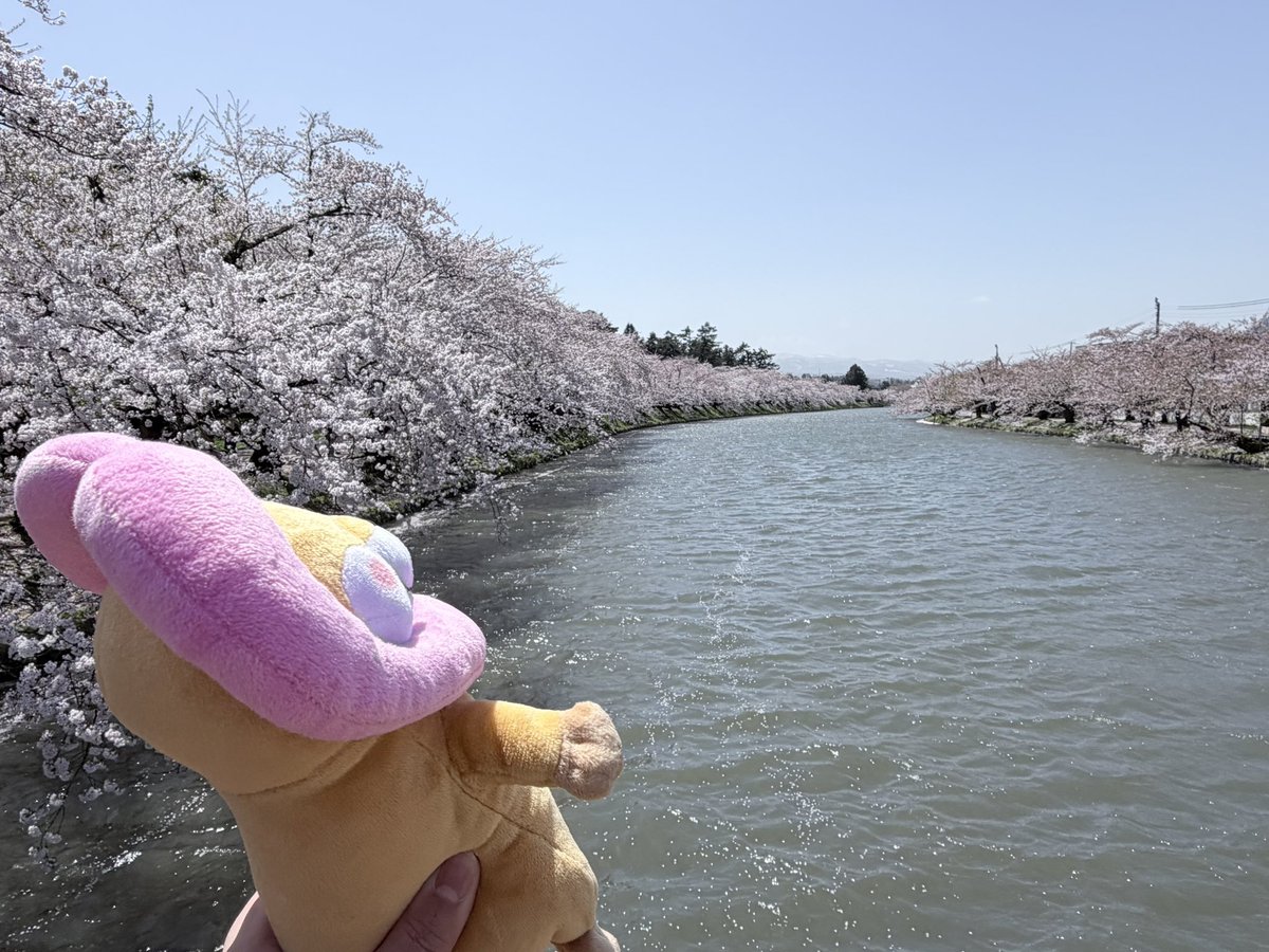 ある🍭🍎 tweet media