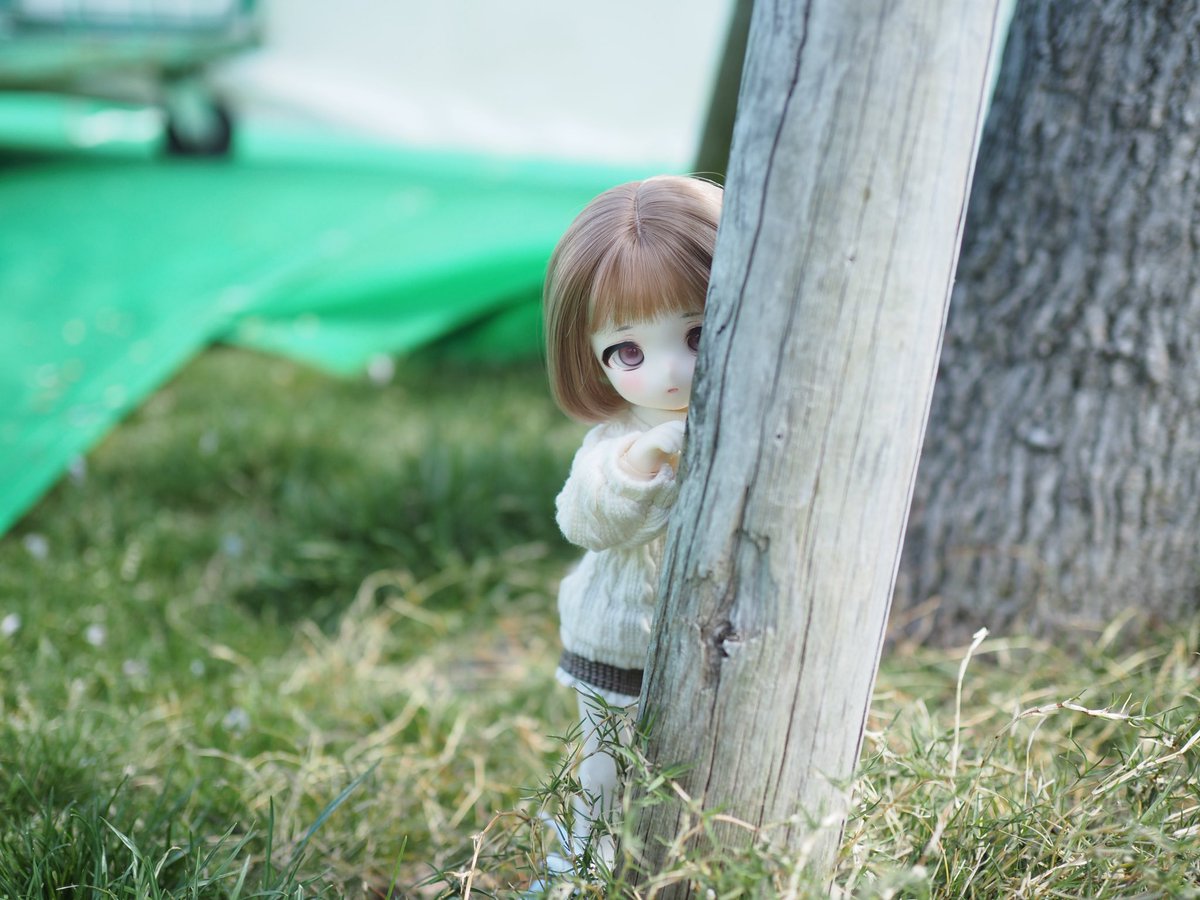 miracleyutea's tweet photo. お久しぶりです https://t.co/qHY8lhcji0