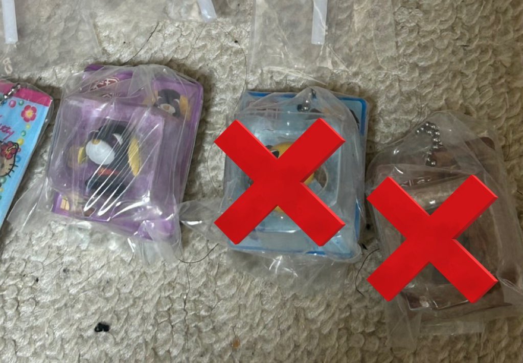 らっこ tweet media