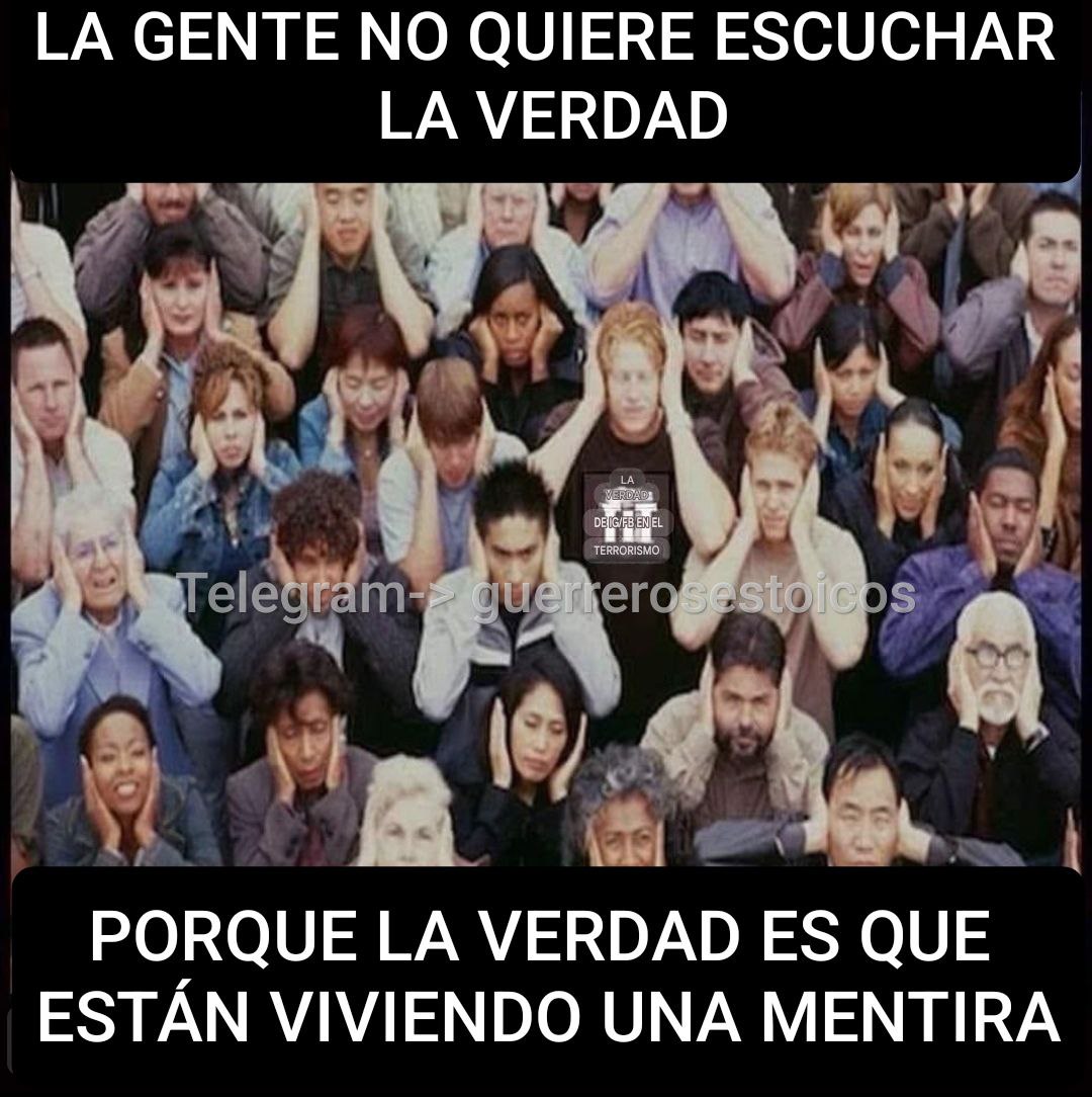 🐗MalasPulgas🐗 tweet media