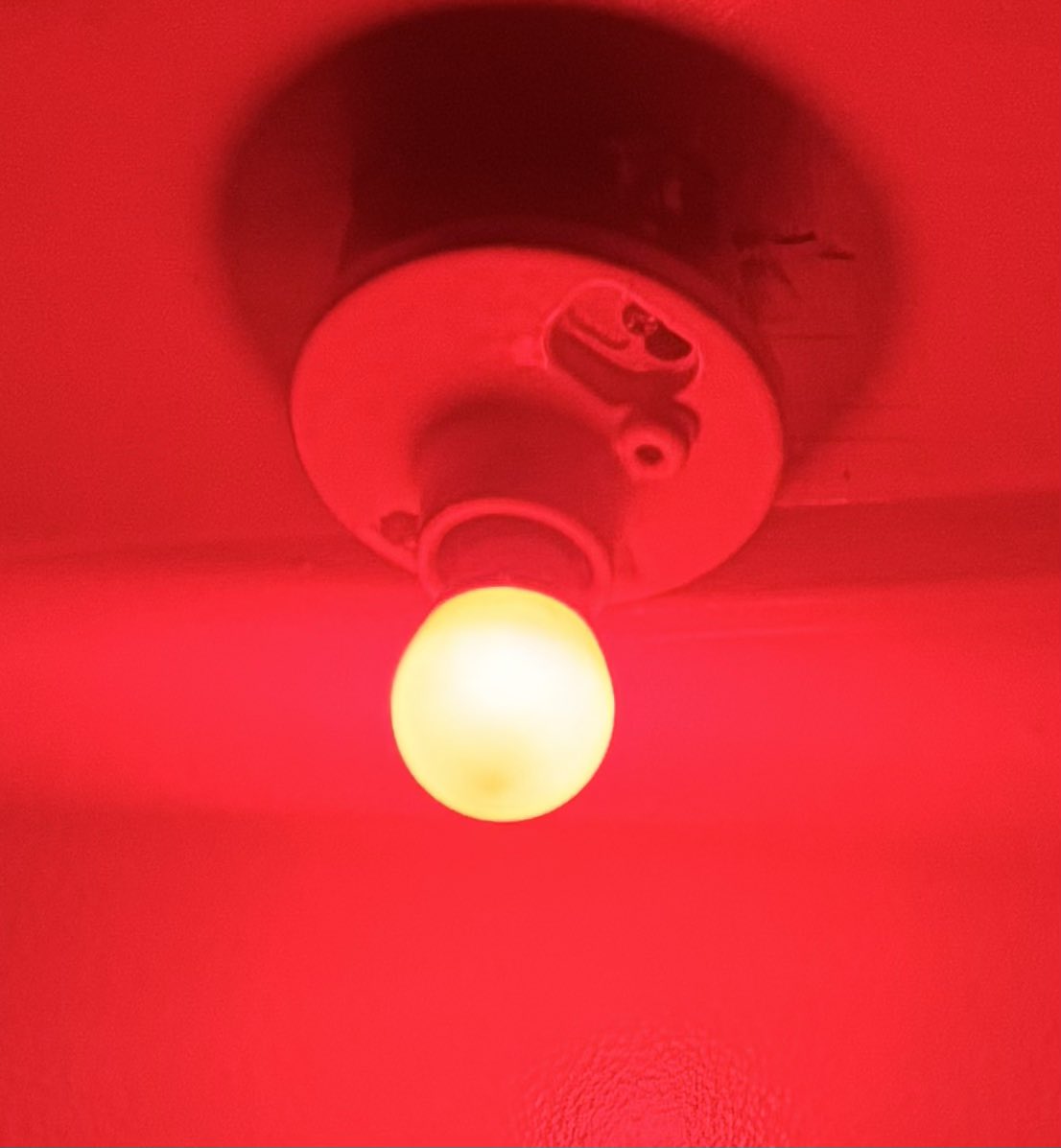 Steamworks Berkeley tweet media