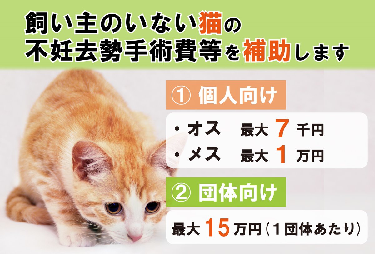 日立市【公式】 tweet media