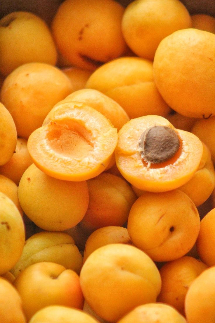 Sweet Nector tweet media