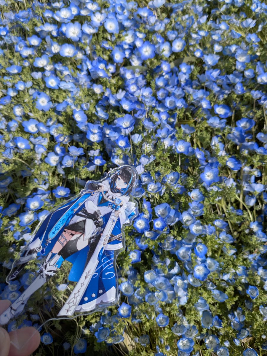 のこっち🌙🌌 tweet media