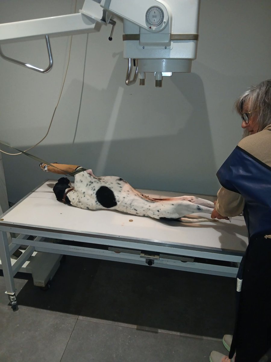 Christinaliroudia tweet media