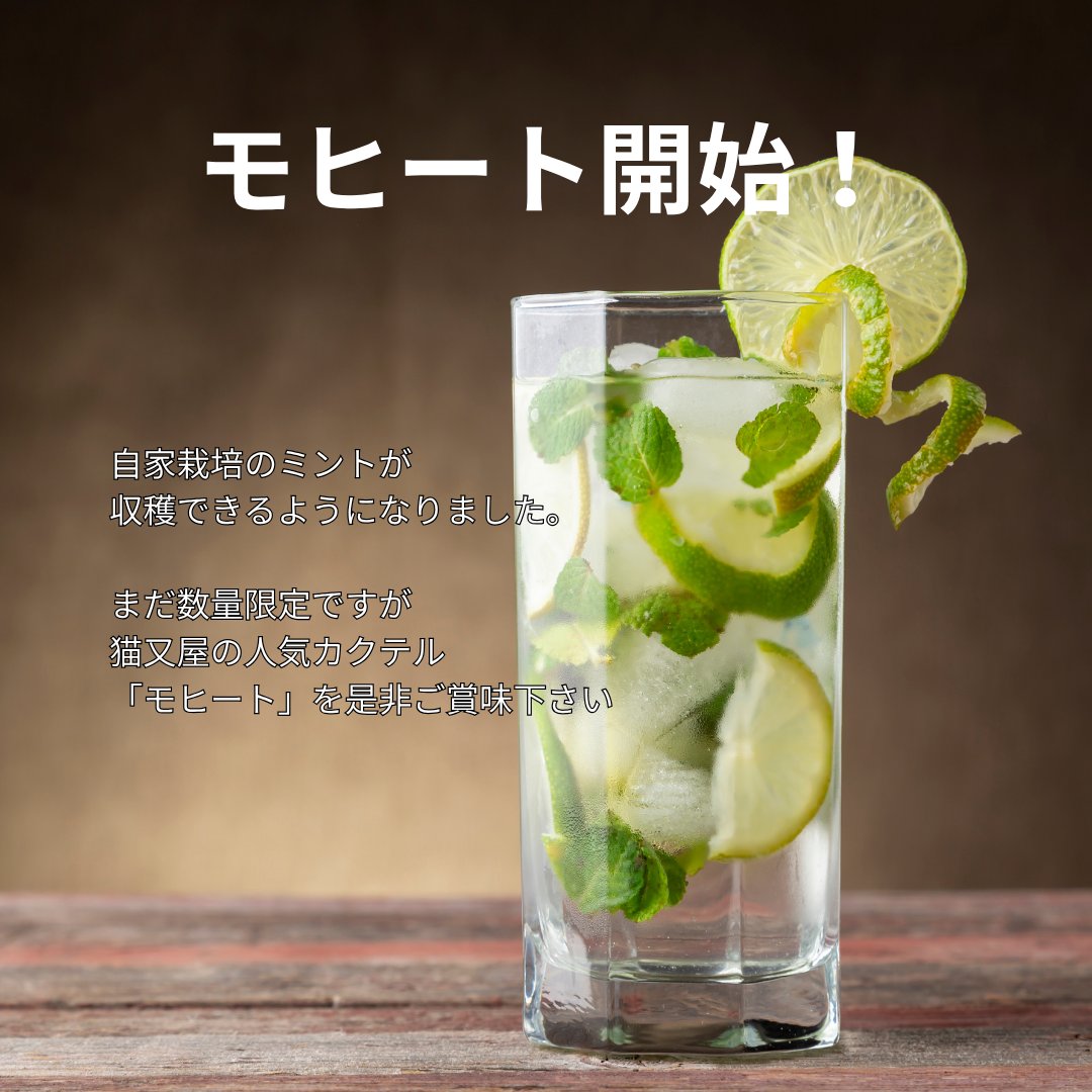 猫又屋 tweet media