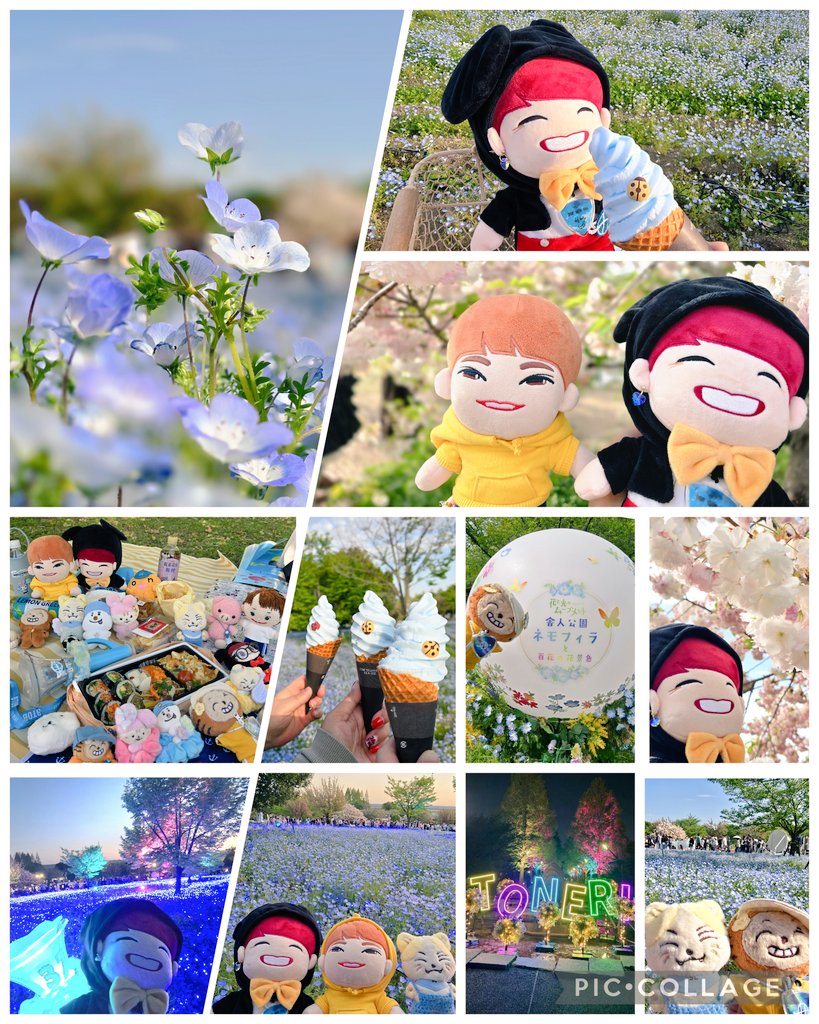 슬로우블루🍀 tweet media