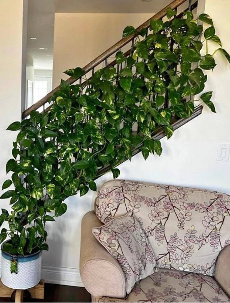 Rabby b. tweet media