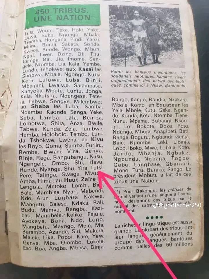 MusoreM40757's tweet image. Why this #stupid @PatrickMuyaya and @GeneralNeva try to push us in Rwanda and we be in #Drc before they born