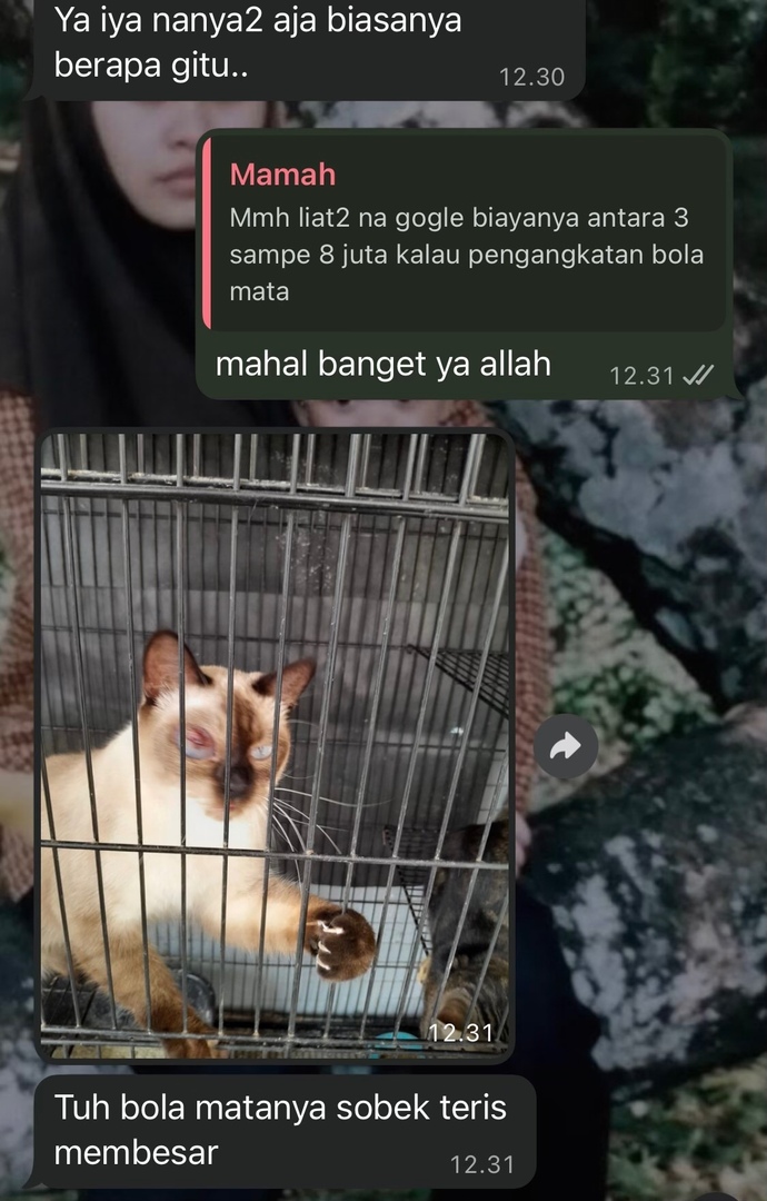 UNPADFESS X SUBMITIN.ID CEK TURNITIN DAN AI 24JAM tweet media
