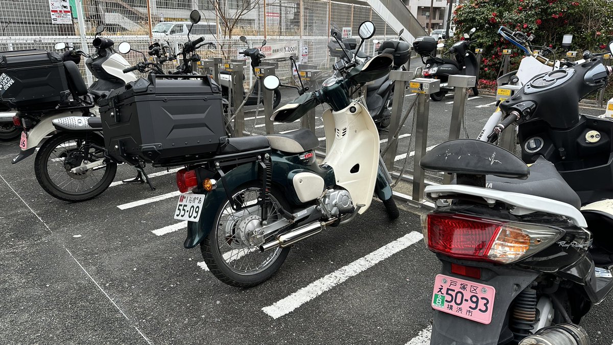 山上りすこ tweet media