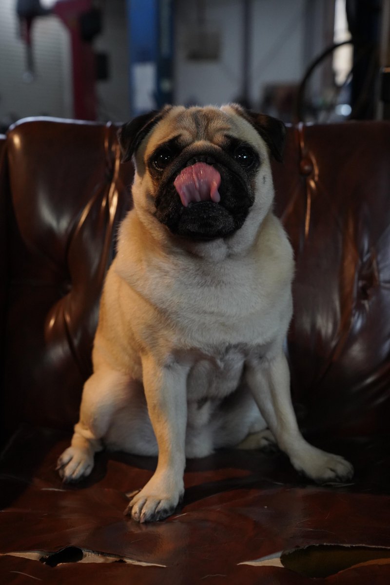 Netflix Japan | ネットフリックス tweet media