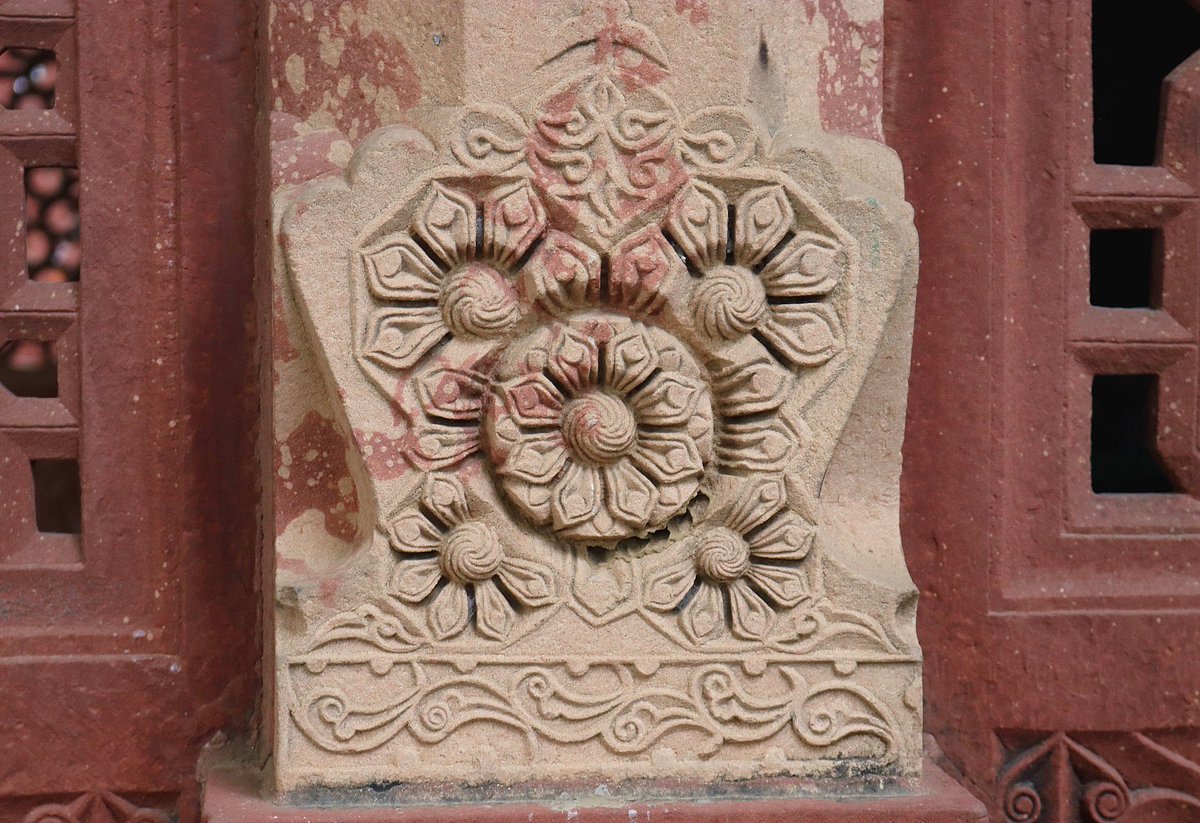 Helen Ibbott 💙📸📖 tweet media