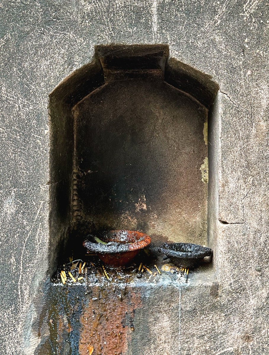 Helen Ibbott 💙📸📖 tweet media