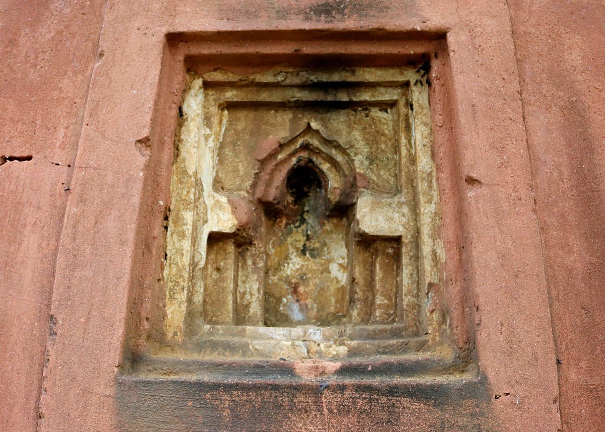 Helen Ibbott 💙📸📖 tweet media