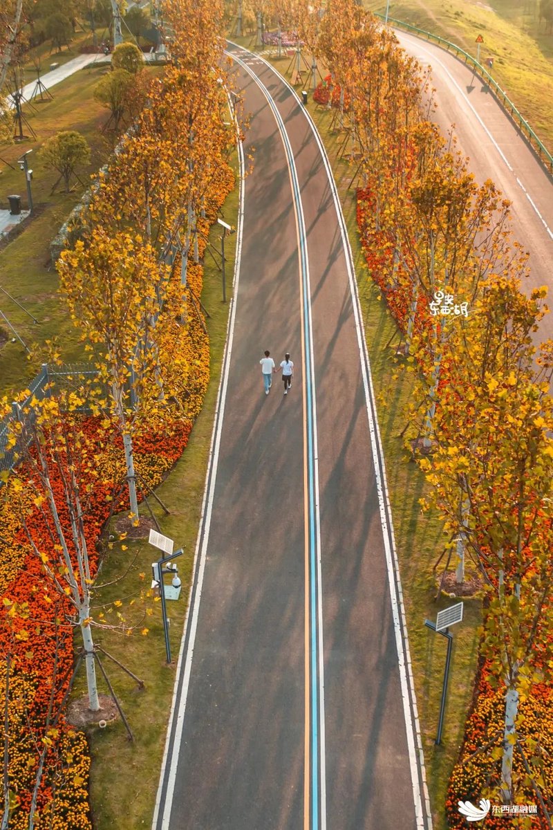 Amitkum34312082's tweet image. Autumn breeze, golden leaves, and cozy sweater days—perfect for a walk with a warm latte  #FallVibes