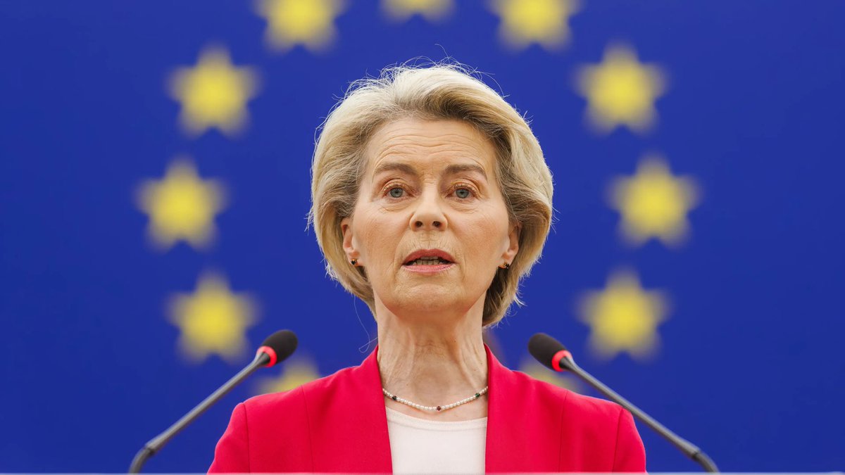 Un Franco-Turc 🇫🇷🤝🏼🇹🇷 tweet media