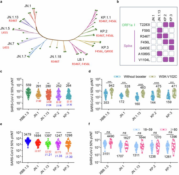 sigtrans_sttt's tweet image. Recombinant XBB.1.5 boosters provide potent cross-neutralization against emerging JN.1 sublineages such as KP.2 and KP.3, supporting the clinical use of updated #Vaccines to combat viral evolution. #Omicron #COVID19
#STTT #OpenAccess: doi.org/10.1038/s41392…