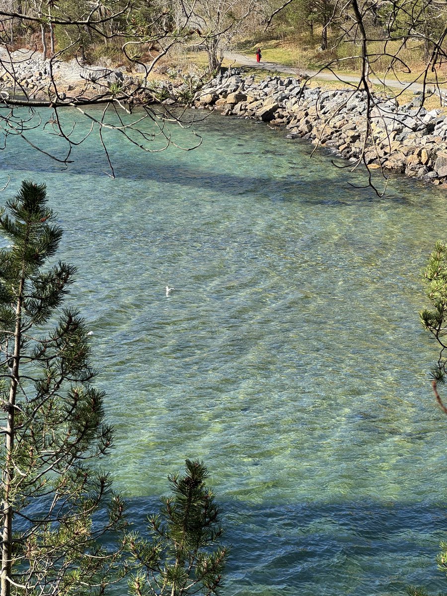 Baitoey 🦋 tweet media