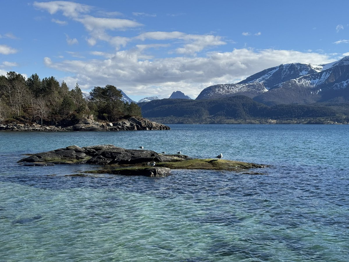 Baitoey 🦋 tweet media