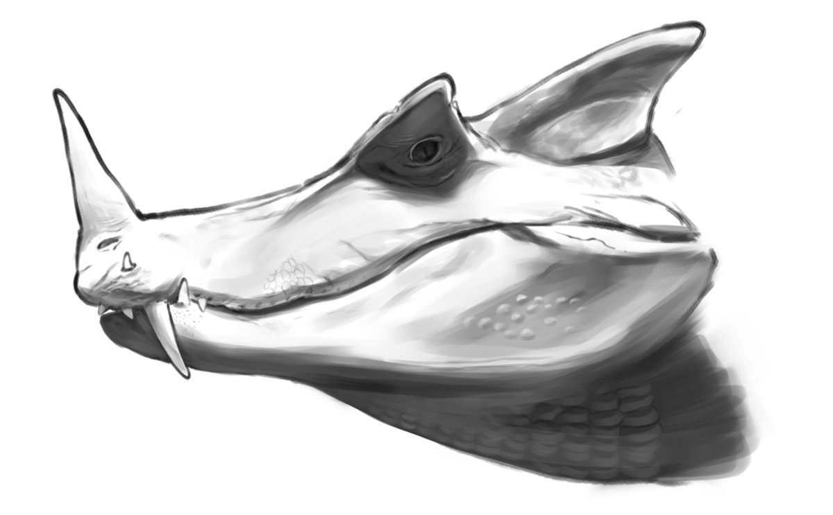 🦖SALMON🇻🇳 tweet media