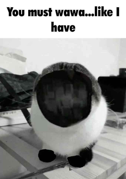 Honorless Drifter tweet media