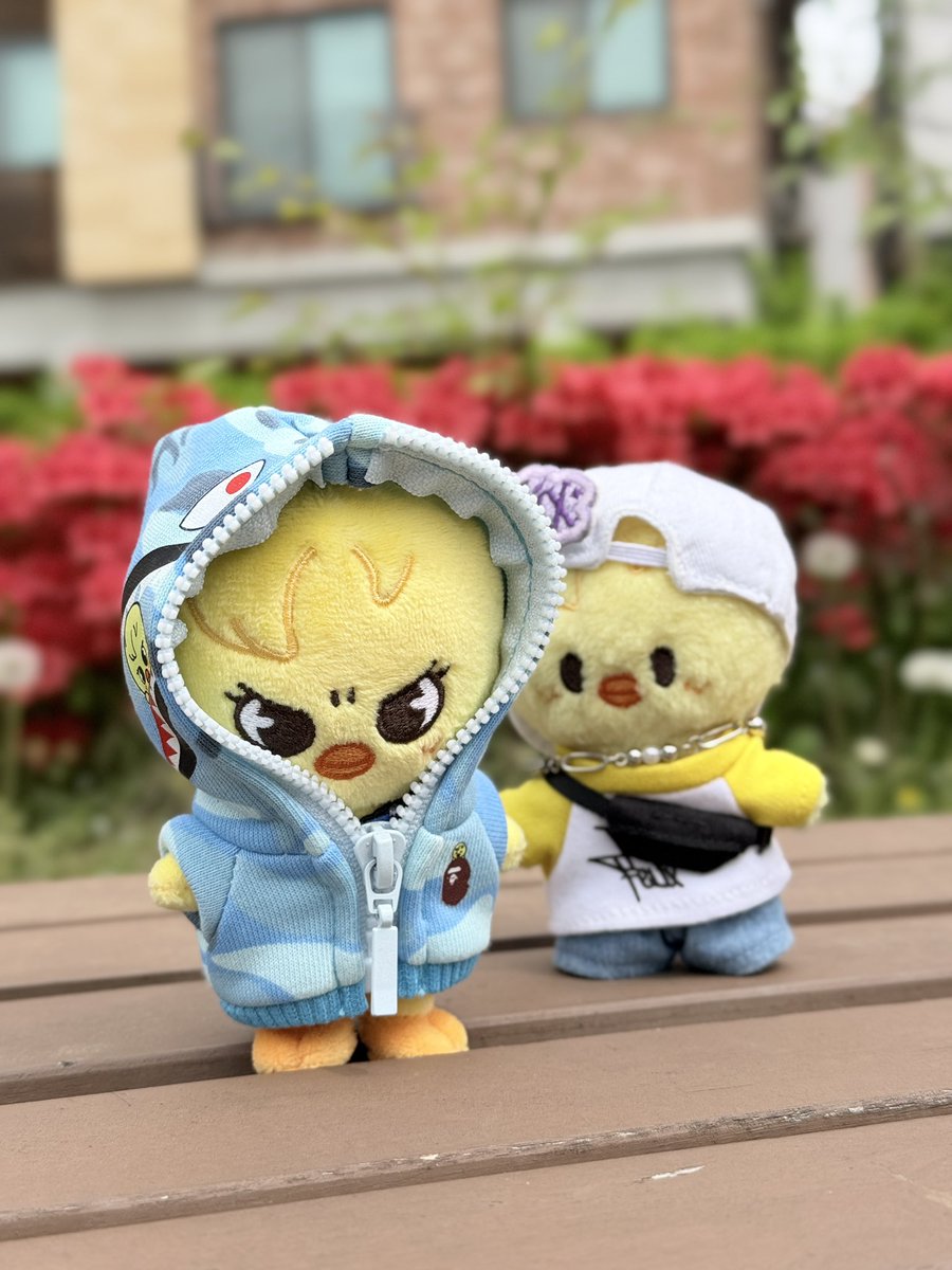 보니누나🐽 tweet media