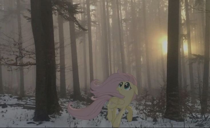 𝜗S𝜚🥂ᝰ🚬 tweet media