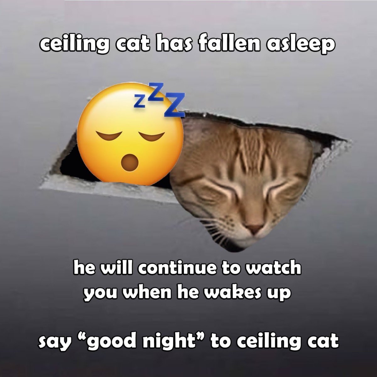 ceilingcat_sol's tweet photo. 💤😴 https://t.co/Q4cti9se4b