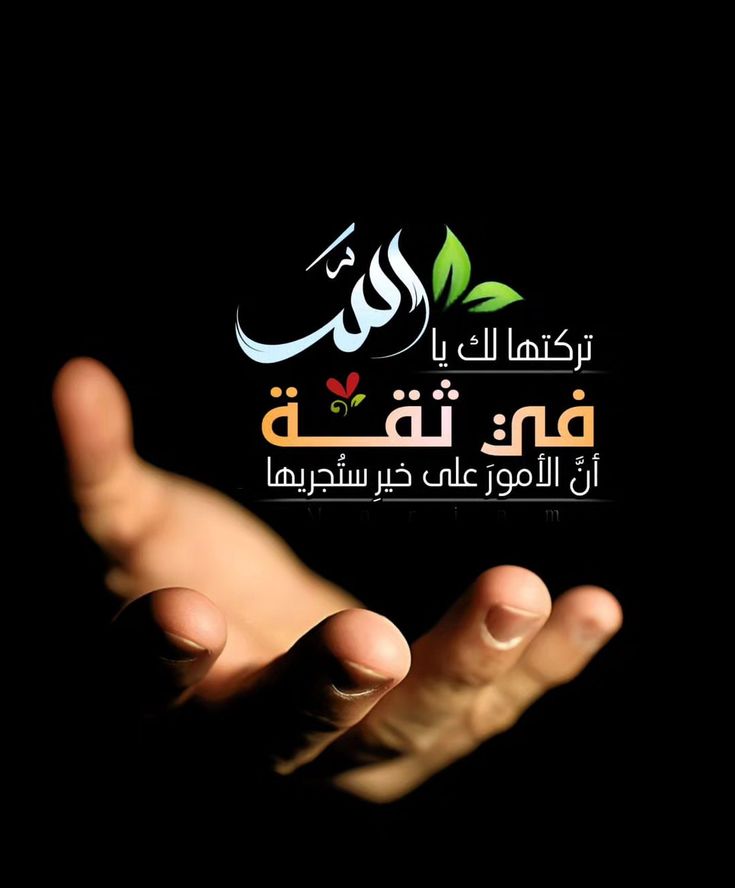 رنـــــِـ.̷̷̸̷̐ــــــدھّ🤍 tweet media