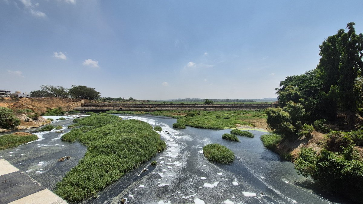 _Juicy_Lobster_'s tweet image. Vrushabhawati is DEAD!!
No fresh water in the reservoir 
Toyota dumping their waste water
(Hope it's treated before discarding)
Localities throwing garbage 
@Toyota_India @ravikeerthi22
@Tejasvi_Surya @DKShivakumar
#Vrushabhawati #Reservoir 
#Garbage #Industrialwaste #Toyota
