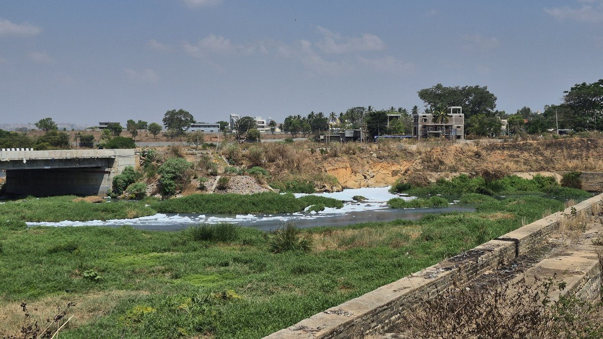 _Juicy_Lobster_'s tweet image. Vrushabhawati is DEAD!!
No fresh water in the reservoir 
Toyota dumping their waste water
(Hope it's treated before discarding)
Localities throwing garbage 
@Toyota_India @ravikeerthi22
@Tejasvi_Surya @DKShivakumar
#Vrushabhawati #Reservoir 
#Garbage #Industrialwaste #Toyota