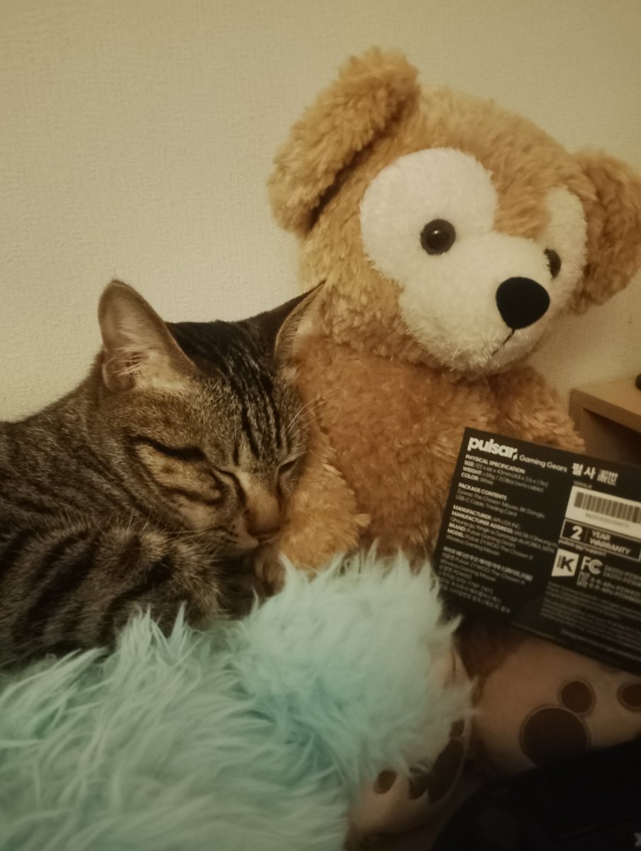 ダッフィーと🐱