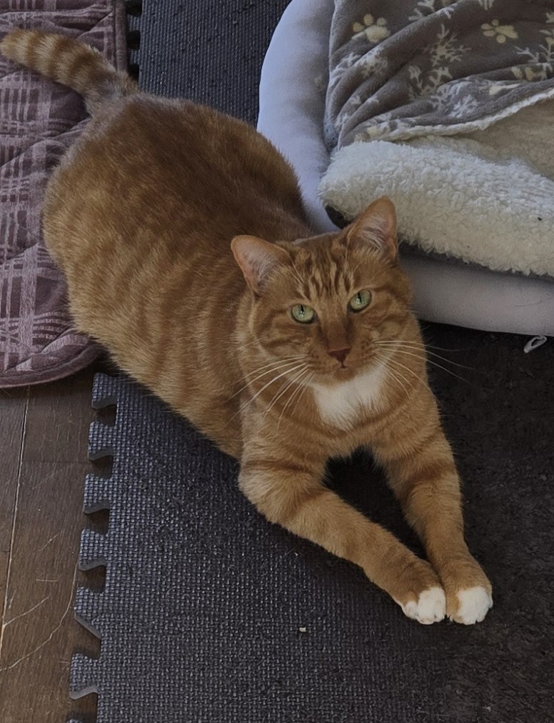 池ゆーじ® tweet media