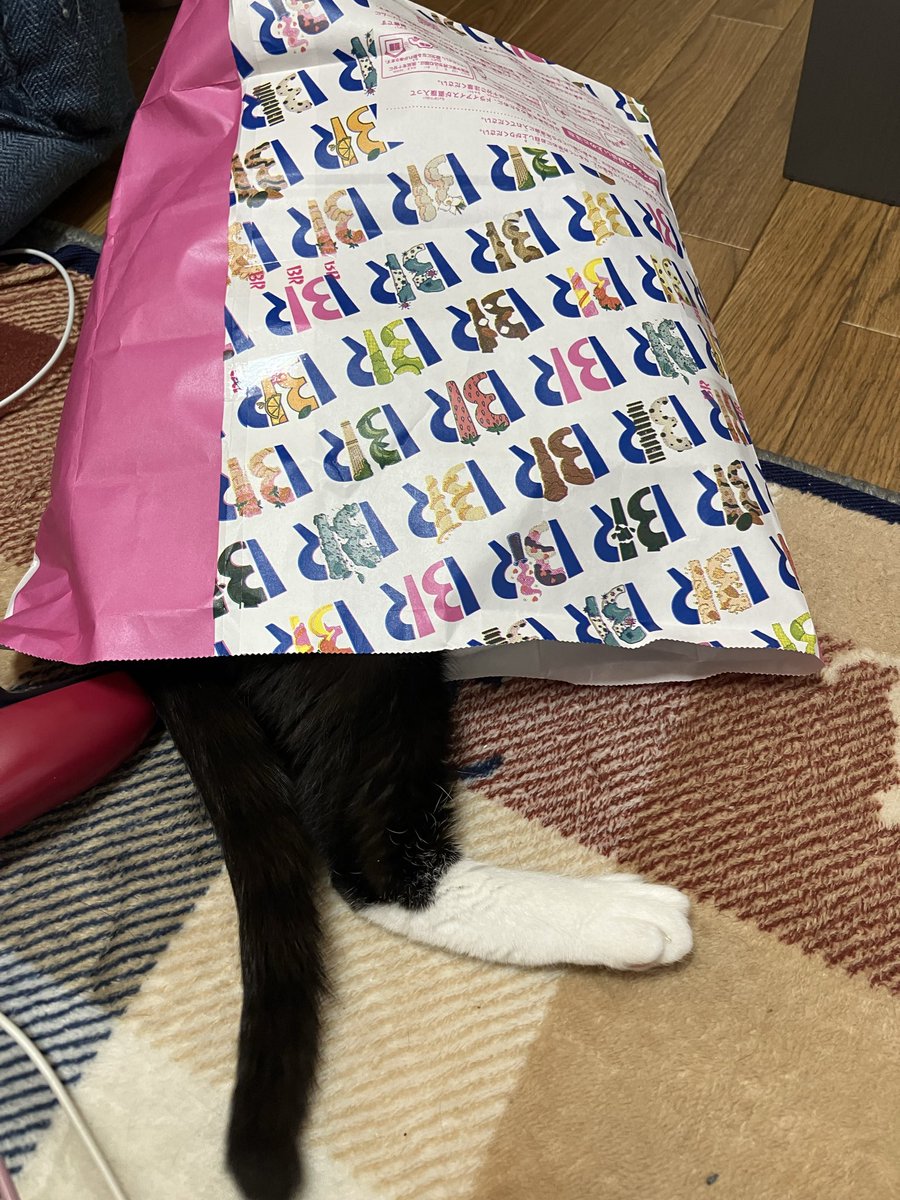 ハセベカヅキ tweet media