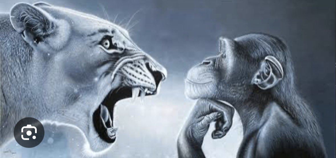 valentino (turpinhateaccountfdp) tweet media