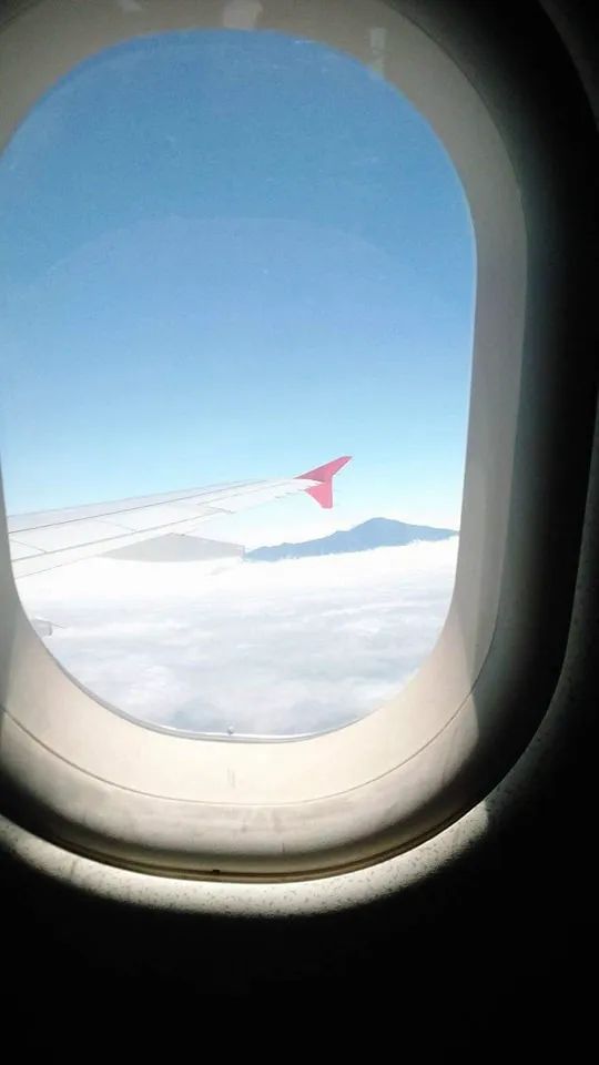 FGrenville_A's tweet photo. Mount Cameroon 🇨🇲📍 
The most astonishing landmark  from the sky 
Pilot please drop me here I have reached my destination https://t.co/kF8MuOd9Zf