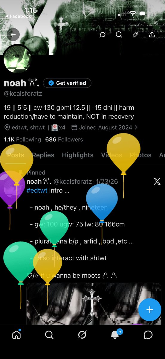 noah 𐙚 ̊. tweet media