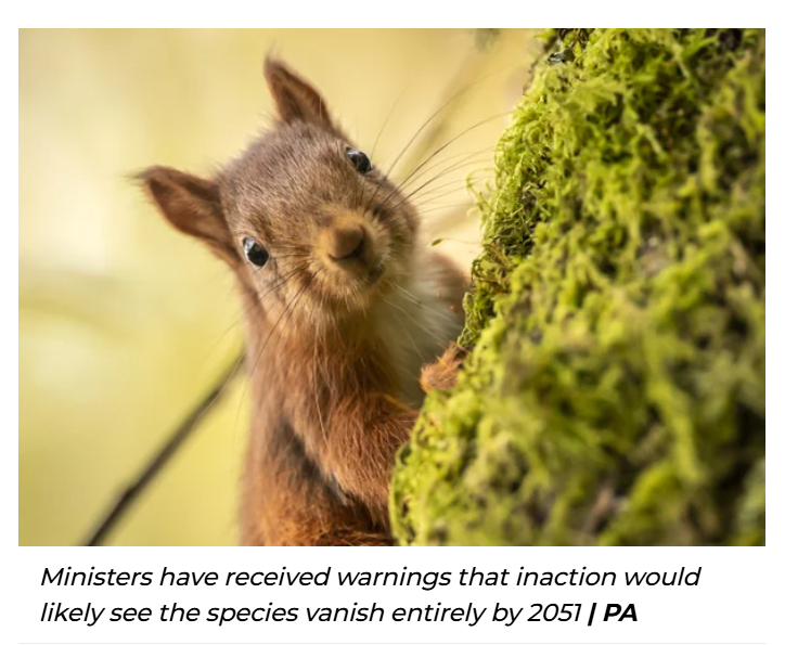 EndMassMigration tweet media