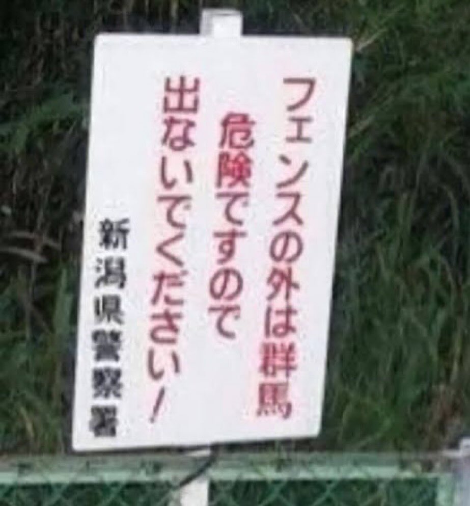 たろうまる tweet media